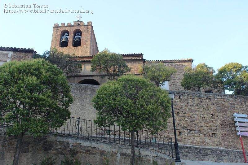 parroquia de nuestra senora de la asuncion liedena