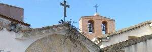 parroquia de nuestra senora de los angeles santa cruz de moya