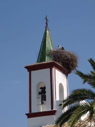 parroquia san pedro apostol coripe